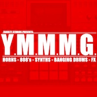 Y.M.M.M.G. - Take advantage of these sounds and make hits like no other
