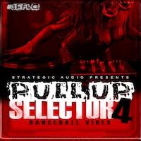 Pull Up Selector: Dancehall Vibes Vol.4 - Get that authentic West Indian street sound in your projects