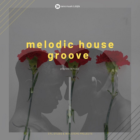 Melodic House Groove - Nano Musik Loops features three Trance FL Studio projects