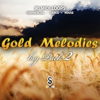 Gold Melodies Big Pack 2 - 90 fantastic MIDI melodies for producing all kinds of Electronica