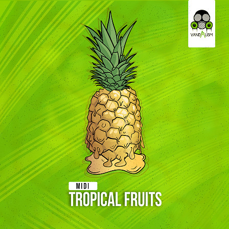 MIDI: Tropical Fruits - 30 memorable melodies that your listeners will be humming to for a long time