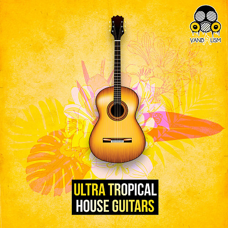Ultra Tropical House Guitars - Well-crafted Tropical guitar loops