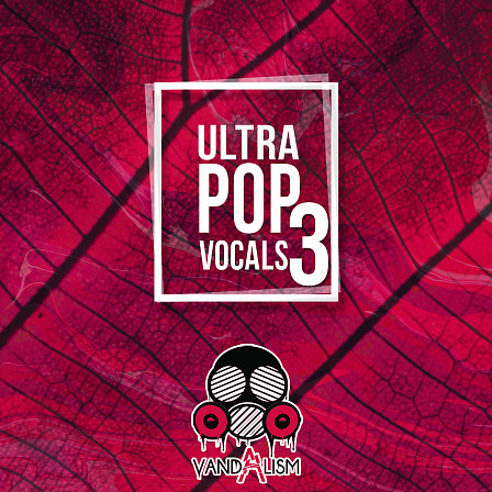 Ultra Pop Vocals 3 - 'Ultra Pop Vocals 3' brings you male acapellas and MIDI Loops