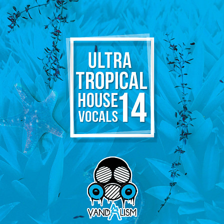 Ultra Tropical House Vocals 14 - Male vocal performances for all summer music lovers