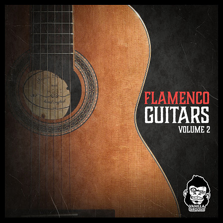 Flamenco Guitars Vol 2 - 88 loops arranged in 5 convenient loop packs ranging from 80 to 140 BPM