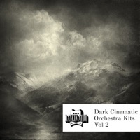 Dark Cinematic Orchestra Kits Vol. 2 - Everything you need to create some serious cinematic tension