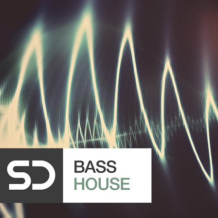 Bass House - Take your beats to the next level and liven up the dance floor