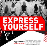 Express Yourself - 1,6 GB of pure inspiration and experiments suitable for Trap, House and more