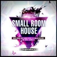 Small Room House - The complete opposite to EDM and the Big Room scene!