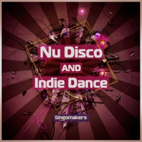 Nu Disco and Indie Dance - An expansive fusion of Nu Disco, Nu Rave and Indie Dance