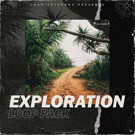 Exploration Loop Pack - 40 melody loops inspired by top Billboard hits from artists like Travis Scott