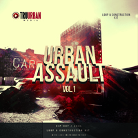 Urban Assault Vol.1 - Killer vibes, heart-felt grooves with down-to-earth live instrumentation