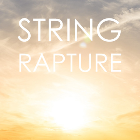 String Rapture - String Quartet loops crafted for use in modern music productions