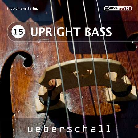 Upright Bass - 437 loops full of that special upright bass sound