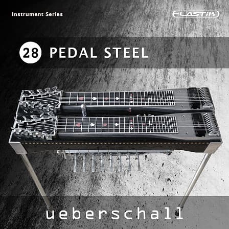 Pedal Steel - A versatile collection of beautiful musical phrases