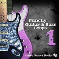 Punchy Guitar & Bass Loops Vol.1 - 63 crunchy guitar and bass loops, arranged in 5 sets ranging from 90 to 140 BPM