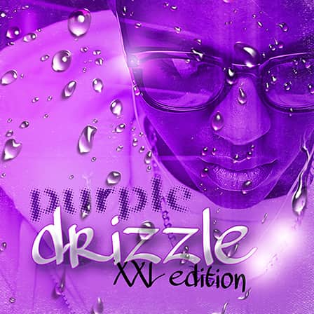 Purple Drizzle XXL - 55 Platinum kits from hard hitting Hip Hop to laid back RnB