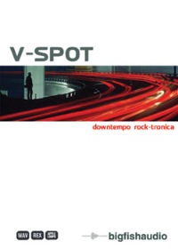 V-Spot - A fusion of modern rock,dub and electronica with a solid breakbeat style groove