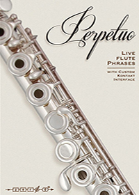 Perpetuo: Live Flute Phrases - Rhythmic patterns for minimalist flute ensembles and subtle cinematic production