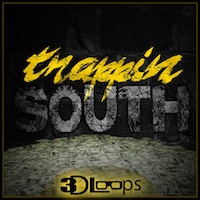 Trappin' South product image
