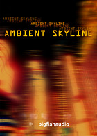 Ambient Skyline product image