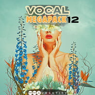 Vocal Megapack 12 product image
