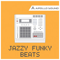 Jazzy Funky Beats product image