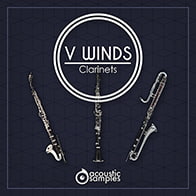 VWinds Clarinets product image