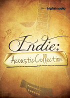 Indie: Acoustic Collection Pop Loops