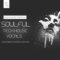 Soulful Tech House Vocals product image