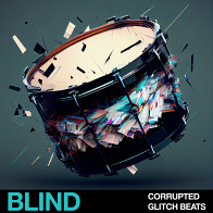 Corrupted Glitch Beats product image