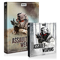 Assault Weapons - Bundle product image
