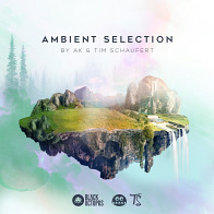 Ambient Selection by AK & Tim Schaufert product image