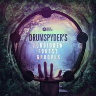 Drumspyder's Forbidden Forest Grooves product image