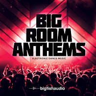 Big Room Anthems Electronica / EDM Loops