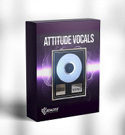 Platinum: Attitude Vocals product image