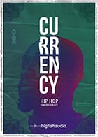 Currency: Hip Hop Construction Kits product image
