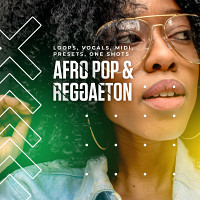 Afro Pop & Reggaeton product image