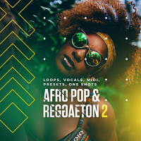 Afro Pop & Reggaeton 2 product image