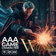 AAA Game Character Adult Wizard product image
