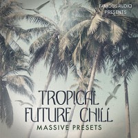 Tropical Future Chill Massive Presets product image