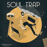 Famous Audio - Soul Trap product image