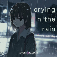 Crying in the Rain product image