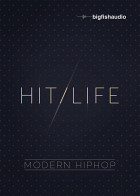 Hit Life: Modern Hip Hop product image