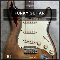 Funky Guitar 1 product image