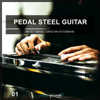Pedal Steel Guitar 1 product image