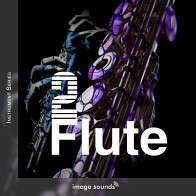 Flute 2 product image