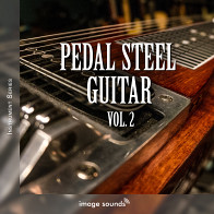 Pedal Steel Guitar 2 Country Loops