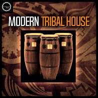 Modern Tribal House product image