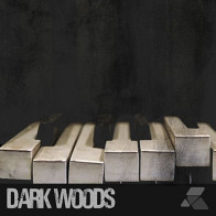 Dark Woods product image